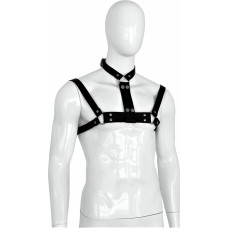 Kiotos Leather Male Leather Collar and Chests Strap