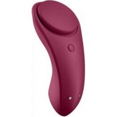 Satisfyer Sexy Secret - Panties Vibrator