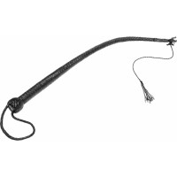Kiotos Steel Whip 60