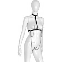 Kiotos Leather Leather Collar Chest with 4 Clamps