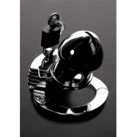 Steel By Shots The Prison Bird