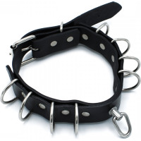 Kiotos Leather Black Leather Collar Multi-D-Rings