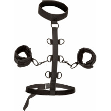 Calexotics Boundless Collar Restraint