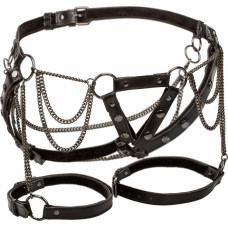 Calexotics Harness With Chains +Size