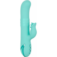 Calexotics Bel Air Bombshell