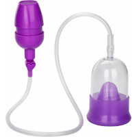 Calexotics Intimate Pump / Purple