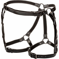 Calexotics Riding Thigh Harness / Black