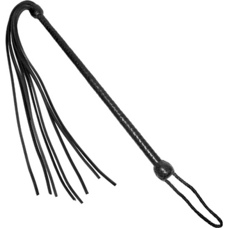 Prowler Red Long Handled Whip