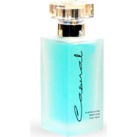 WPJ Feromony-Casual Blue 50ml - feromony dla mężczyzn - Niebieskie
