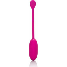 Calexotics Recharg. Kegel Ball Advanced