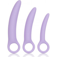 Calexotics Alena Set of 3 Dilators / Purple