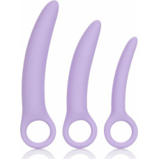 Calexotics Alena Set of 3 Dilators