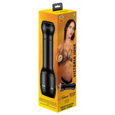 Kiiroo  PowerBlow ja FeelVictoria Jun