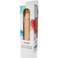 B - Series Weather Wibrator-STORM-12 function vibrator