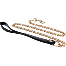 Fantasy Metal and leather chain leash