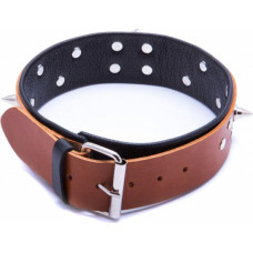 Whips Collections Wiązania-WHIPS obroża męska ze smyczą, koniakowa
