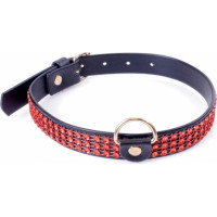 Fetish B - Series Collar with crystals 2 cm Red Line
