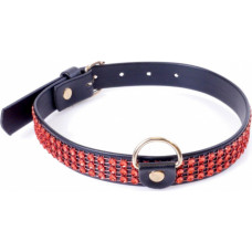 Fetish B - Series Collar with crystals 2 cm Red Line