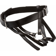 Calexotics Premium Ring Harness