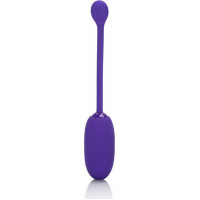Calexotics Recharg. Kegel Ball Starter