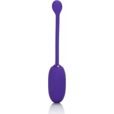 Calexotics Recharg. Kegel Ball Starter