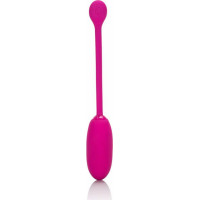 Calexotics Recharg. Kegel Ball Advanced