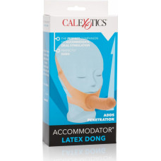 Calexotics The Accommodator Dong