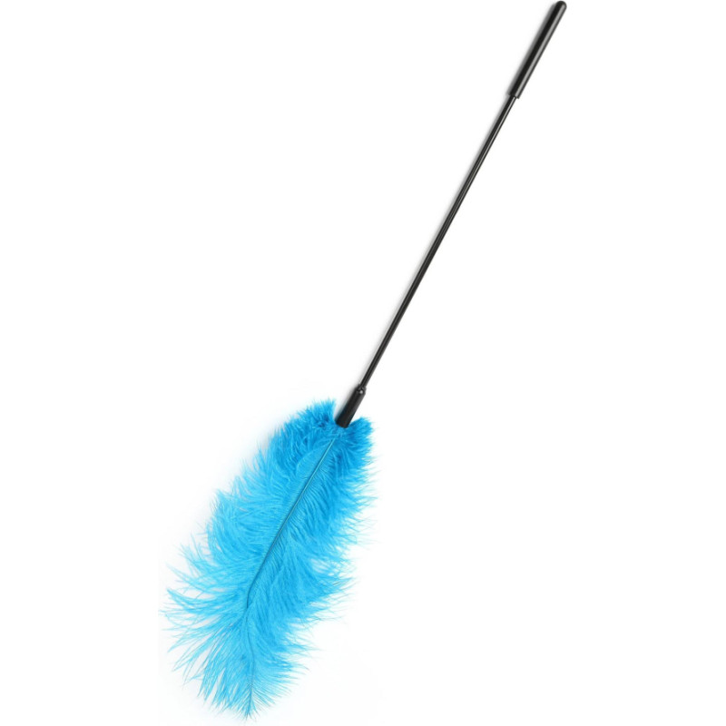 Hidden Desire Double Feather Tickler Blue
