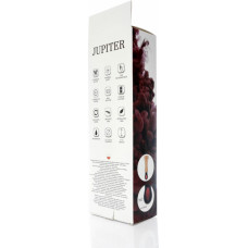 B - Series Weather Wibrator-JUPITER-USB-12function,rotation vibrator