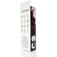 B - Series Weather Wibrator-JUPITER-USB-12function,rotation vibrator