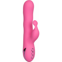 Calexotics Santa Barbara Surfer