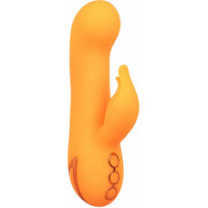 Calexotics Montecito Muse
