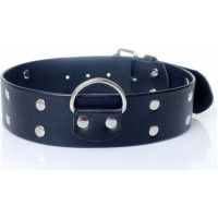 Fetish B - Series Collar with studs 4 cm