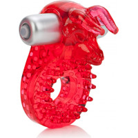 Calexotics Couples Raging Bull