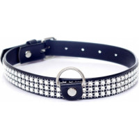 Fetish B - Series Collar with crystals 2 cm silver