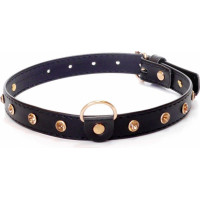 Fetish B - Series - Collar 2 cm gold crystal