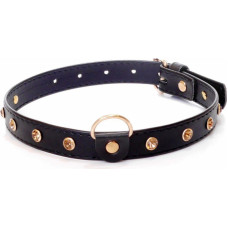 Fetish B - Series - Collar 2 cm gold crystal