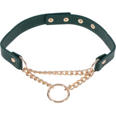 Sportsheets Day Collar