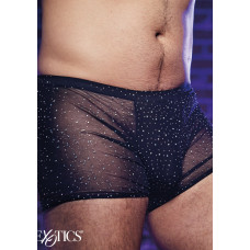 Calexotics Radiance Boxer Briefs