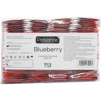 Pasante Blueberry Blast Condoms Bulk Packs 144 pcs