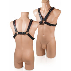 Whips Collections Wiązania-WHIPS uprząż 2, czerwona