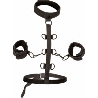 Calexotics Boundless Collar Restraint