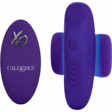 Calexotics Remote Pulsating Panty Teaser