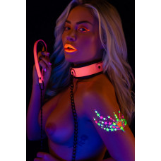 Taboom Collar and Chain Leash