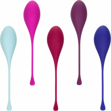 Calexotics Kegel Training 5 pcs