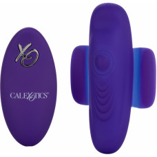 Calexotics Remote Pulsating Panty Teaser