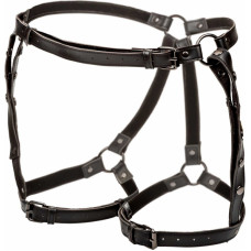 Calexotics Riding Thigh Harness