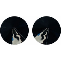 Kinky Diva Nipple Covers Gloss