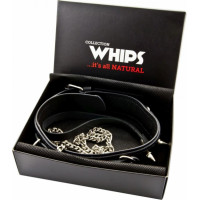 Whips Collections Wiązania-WHIPS obroża męska z półkółkami i smyczą
