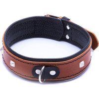 Whips Collections Wiązania-WHIPS obroża damska bez smyczy, koniakowa